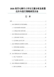 2026母嬰電商行業市場發展分析及前景趨勢與投資策略研究報告