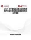 2025年中國落地式中央生物乙醇壁爐行業市場規模及投資前景預測分析報告