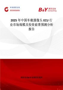2025年中国车载摄像头ECU行业市场规模及投资前景预测分析报告
