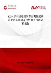 2025年中國通用汽車空調膨脹閥行業市場規模及投資前景預測分析報告