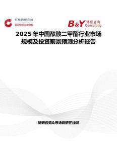 2025年中国酞酸二甲酯行业市场规模及投资前景预测分析报告