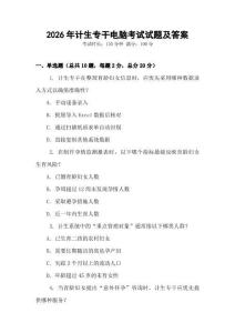 2026年计生专干电脑考试试题及答案