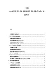 2025-2030融資租賃公司業(yè)務(wù)拓展報(bào)告及風(fēng)險(xiǎn)防范與資產(chǎn)處置研究