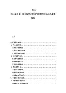 2025-2030配套電廠項目投資評估與節能減排目標達成策略報告