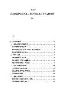 2025-2030能源管道工程施工行業市場發展及競爭力深度報告