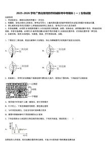 2025-2026学年广西北部湾四市同城联考中考模拟（一）生物试题含解析
