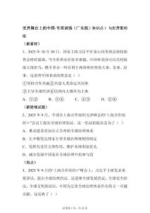 2025学年中考（广东版）道德与法治复习——世界舞台上的中国专项训练试卷（含答案）