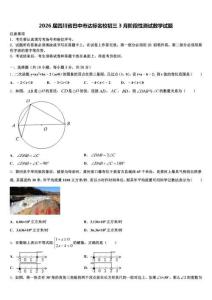 2026届四川省巴中市达标名校初三3月阶段性测试数学试题含解析