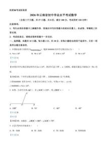 2026年云南省中考数学试题（解析版）