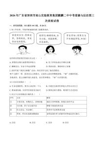 2026年广东省深圳市南山实验教育集团麒麟二中中考道德与法治第三次质检试卷（含答案）