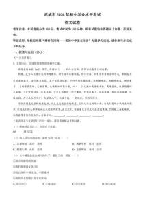 2026年甘肃省武威市中考语文试题（原卷版）