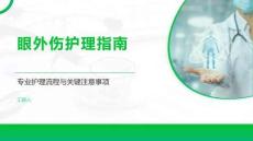 眼外伤护理指南