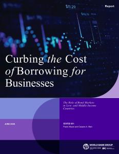 世界銀行 -降低企業(yè)借貸成本 Curbing the Cost of Borrowing for Businesses