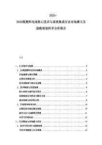 2025-2030氫燃料電池核心技術與系統集成行業市場潛力及戰略規劃科學分析報告