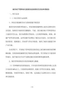 城市地下管網老化更新改造國債項目資金申請報告
