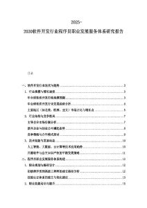 2025-2030軟件開發(fā)行業(yè)程序員職業(yè)發(fā)展服務(wù)體系研究報(bào)告
