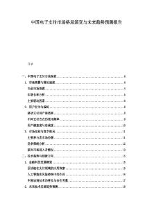 中国电子支付市场格局演变与未来趋势预测报告