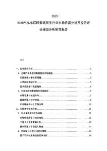 2025-2030汽车车联网数据服务行业市场供需分析及投资评估规划分析研究报告