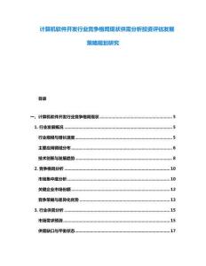 计算机软件开发行业竞争格局现状供需分析投资评估发展策略规划研究
