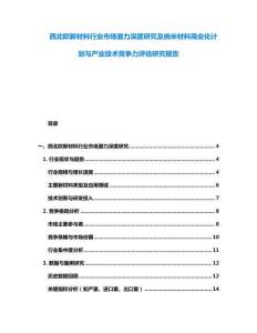 西北欧新材料行业市场潜力深度研究及纳米材料商业化计划与产业技术竞争力评估研究报告
