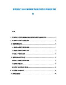草原资源行业市场深度调研及发展趋势与投资战略研究报告