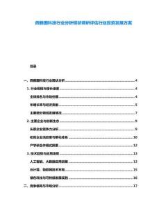 西雅图科技行业分析现状调研评估行业投资发展方案