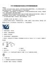 2026年陕西省延安市名校初三中考冲刺物理试题试卷含解析