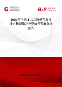 2025年中国3-二乙胺基丙胺行业市场规模及投资前景预测分析报告