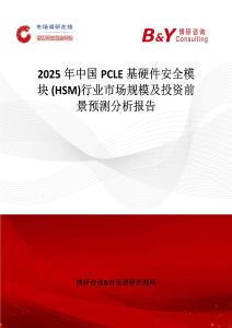 2025年中国PCLE基硬件安全模块 (HSM)行业市场规模及投资前景预测分析报告