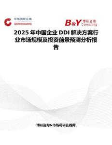 2025年中国企业DDI解决方案行业市场规模及投资前景预测分析报告