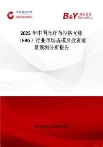 2025年中國光纖布拉格光柵（FBG）行業(yè)市場規(guī)模及投資前景預(yù)測分析報(bào)告
