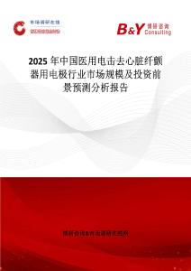 2025年中国医用电击去心脏纤颤器用电极行业市场规模及投资前景预测分析报告
