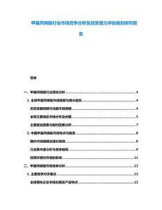 甲基丙烯酸行业市场竞争分析及投资潜力评估规划研究报告