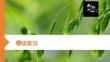 道歉信   高中英语