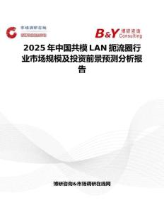 2025年中国共模LAN扼流圈行业市场规模及投资前景预测分析报告