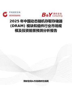 2025年中国动态随机存取存储器 (DRAM) 模块和组件行业市场规模及投资前景预测分析报告