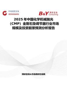 2025年中国化学机械抛光（CMP）金刚石垫调节器行业市场规模及投资前景预测分析报告