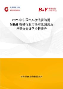 2025年中国汽车激光雷达用MEMS微镜行业市场前景预测及投资价值评估分析报告