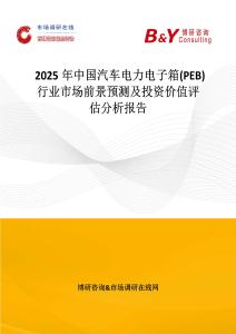 2025年中國汽車電力電子箱(PEB)行業(yè)市場前景預(yù)測及投資價值評估分析報告