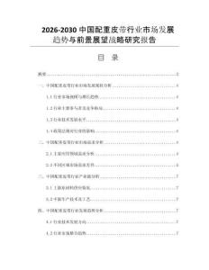 2026-2030中国配重皮带行业市场发展趋势与前景展望战略研究报告