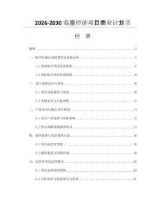 2026-2030临空经济项目商业计划书