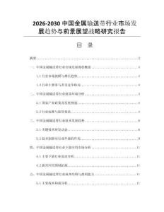 2026-2030中国金属输送带行业市场发展趋势与前景展望战略研究报告