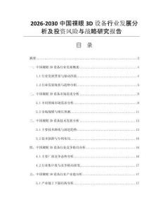 2026-2030中国裸眼3D设备行业发展分析及投资风险与战略研究报告