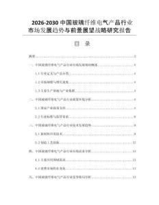 2026-2030中国玻璃纤维电气产品行业市场发展趋势与前景展望战略研究报告
