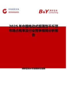 2025年中國電動式超薄型千斤頂市場占有率及行業競爭格局分析報告