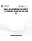 2025年中國聚苯醚(PPO)原粉行業市場規模及投資前景預測分析報告