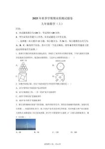 广西河池市天峨县2025-2026学年上学期期末检测九年级数学试题卷【含答案】