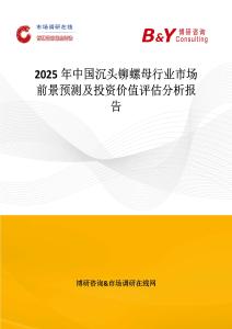 2025年中国沉头铆螺母行业市场前景预测及投资价值评估分析报告