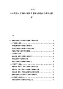 2025-2030氢燃料电池技术商业化进程与储能市场应用分析研