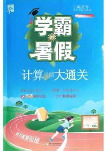 26學(xué)霸暑假一升二計(jì)算大通關(guān)北師